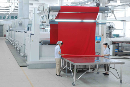 德國(guó)BRUCKNER高性能拉幅熱定型機(jī)